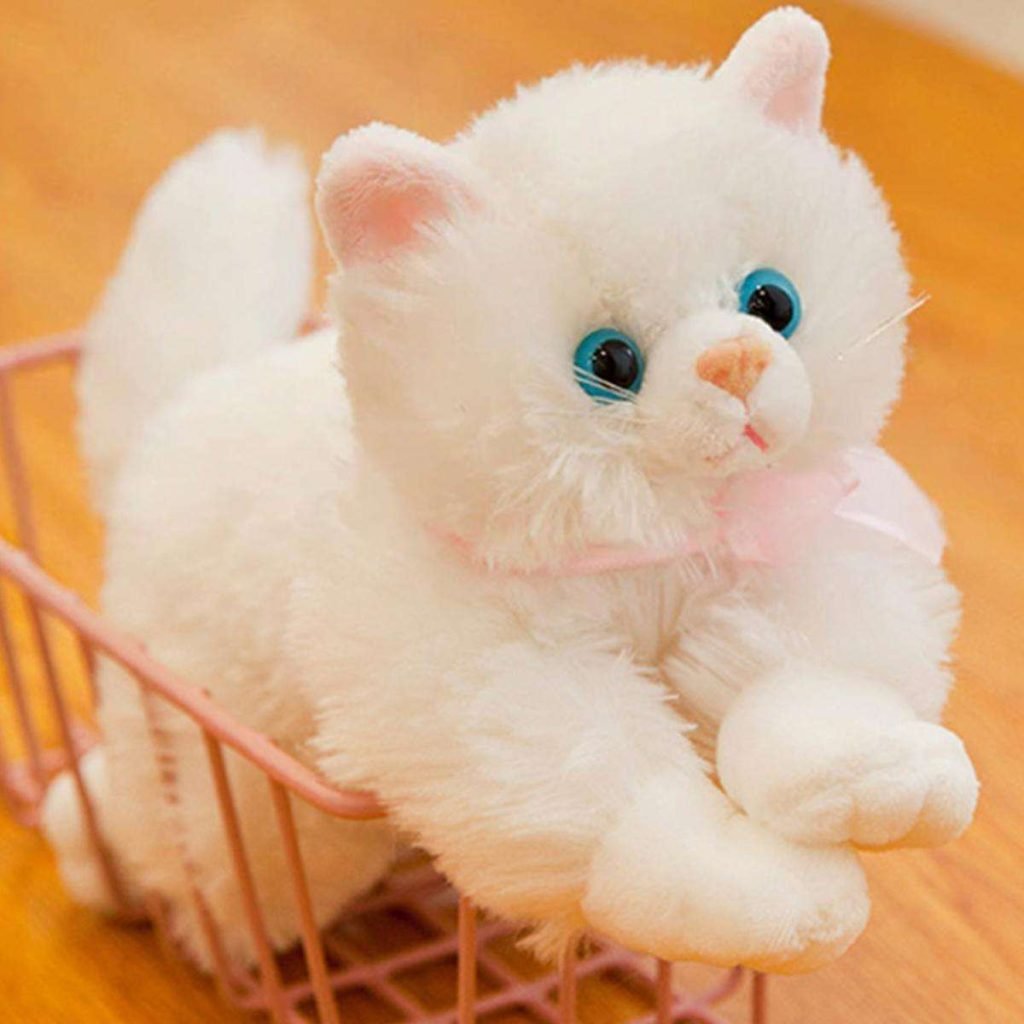 cat stuffed toy