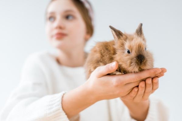 Rabbit Names Girl From Mythology