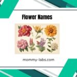 Flower Names