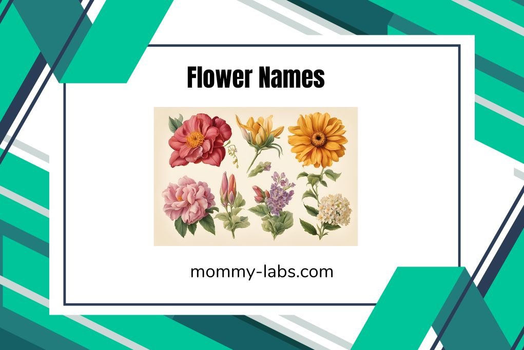 Flower Names